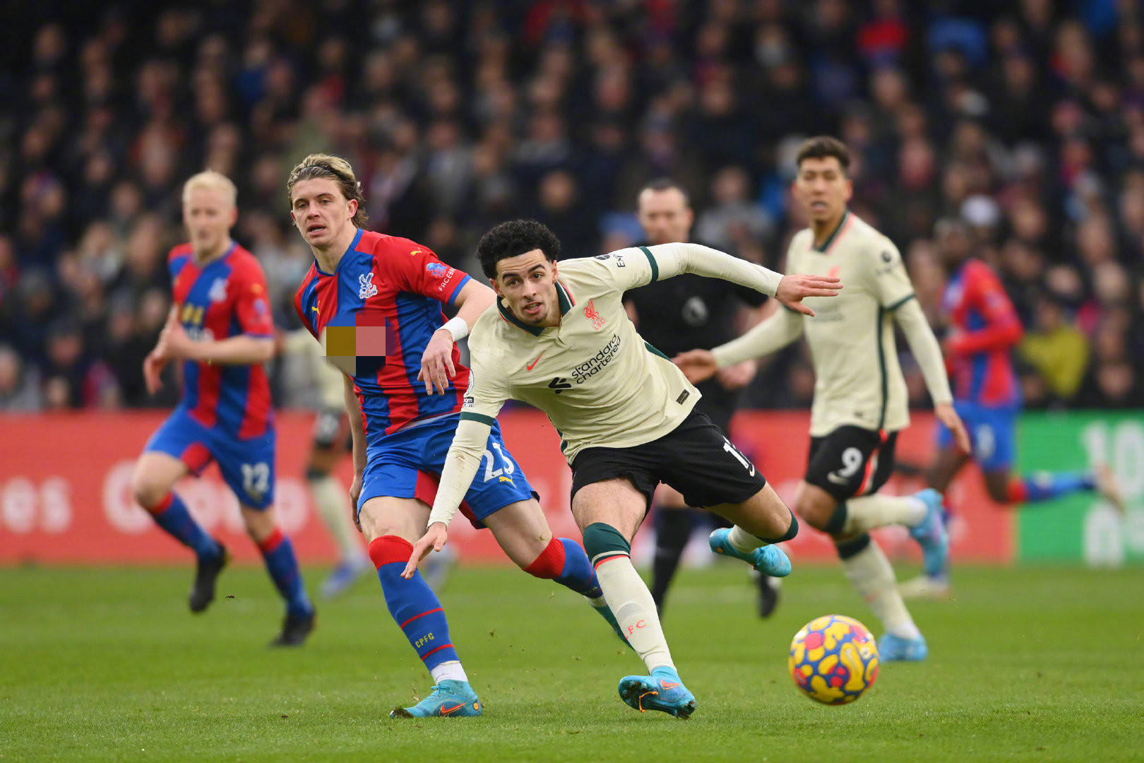 引进关键战 引进关键战